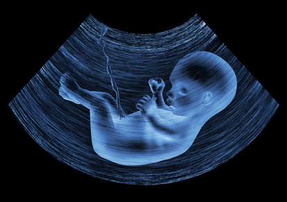 imagen de un bebé en el vientre materno generada por ultrasonidos